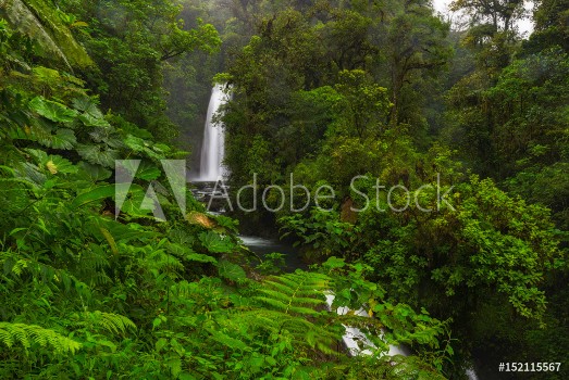 Picture of La Paz Waterfall Costa Rica